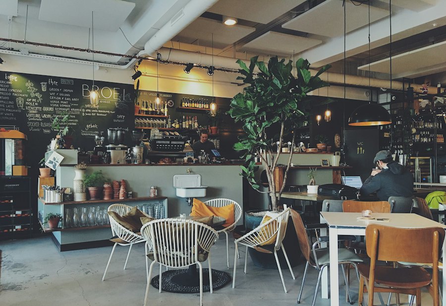 観葉植物のある明るい店内